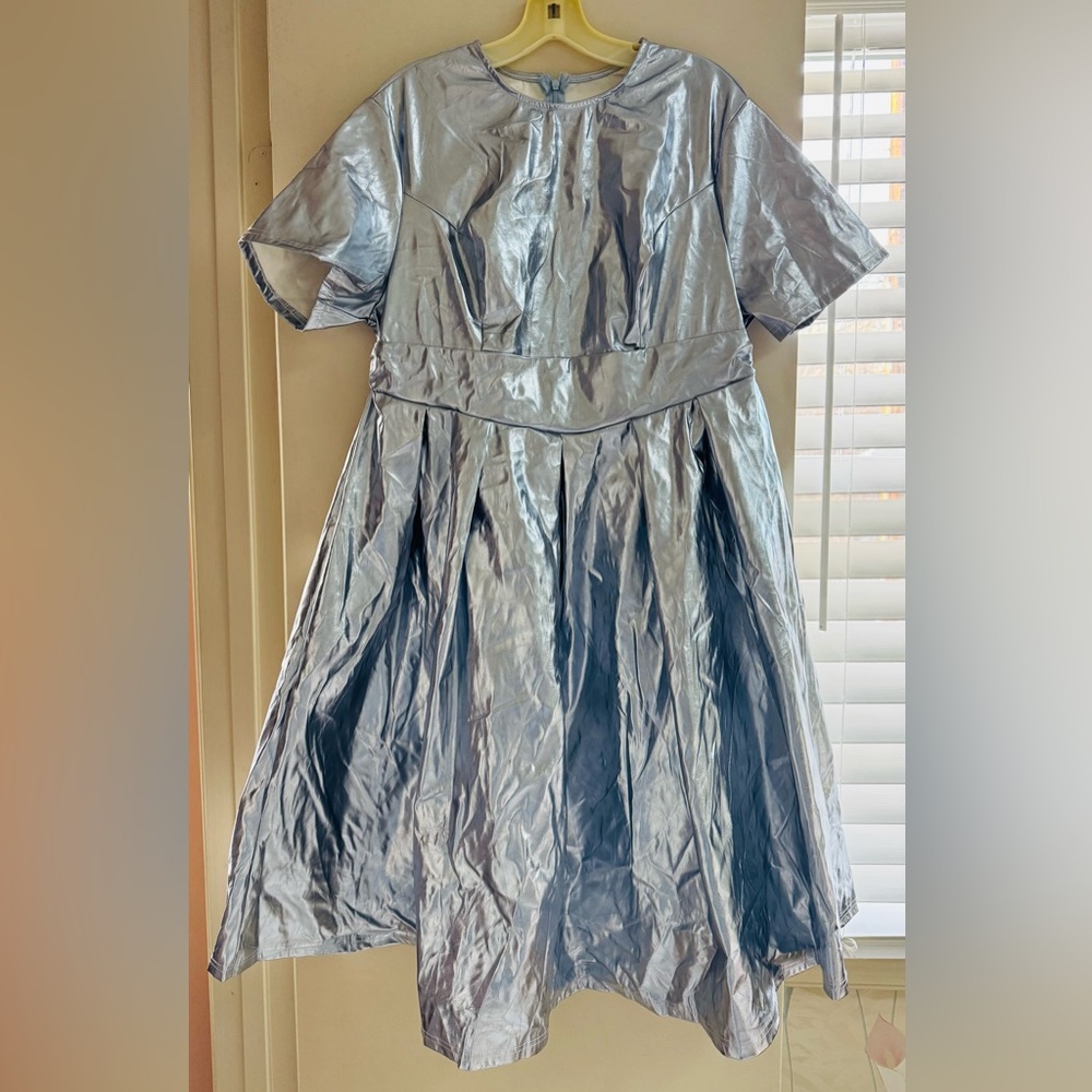 Shiny Silver w/ blue tint Dress